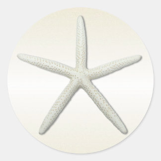 Pegatina Redonda Ronda Bayside Single Starfish Champagne