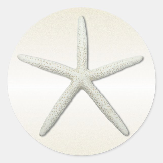 Pegatina Redonda Ronda Bayside Single Starfish Champagne (Anverso)