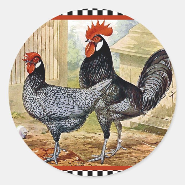 Pegatina Redonda Rooster de pollo de época (Anverso)