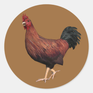 Pegatina Redonda Rooster Rojo