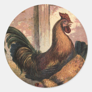 Pegatina Redonda Rooster Rojo, Hen Marrón y chichas bebé en la paja