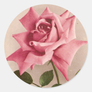 Pegatina Redonda Rosa