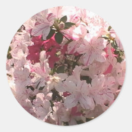 Pegatina Redonda Rosa Azalea