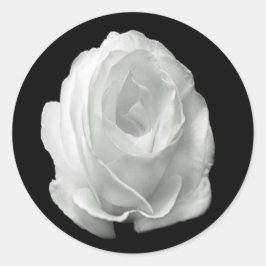 Pegatina Redonda rosa blanco sobre el fondo negro