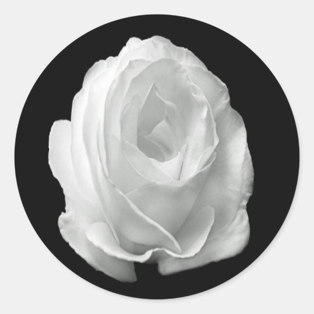 Pegatina Redonda rosa blanco sobre el fondo negro (Anverso)
