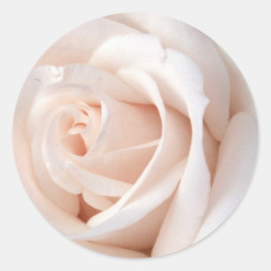 Pegatina Redonda Rosa boda