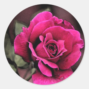 Pegatina Redonda Rosa de amor antiguo