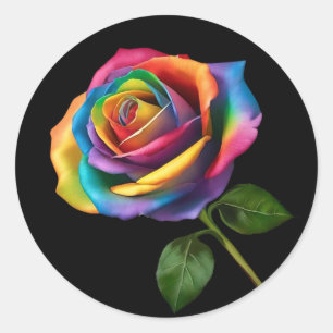 Pegatina Redonda Rosa de arcoiris de largo tamaño-
