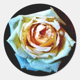 Pegatina Redonda Rosa de color