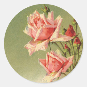 Pegatina Redonda Rosa de jardín victoriana rosa vintage del día de