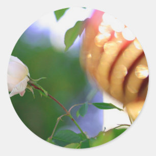 Pegatina Redonda Rosa de Navidades blancos