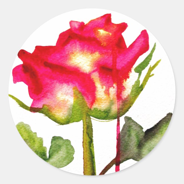 Pegatina Redonda Rosa de té híbrido acuarela arte floral moderno (Anverso)
