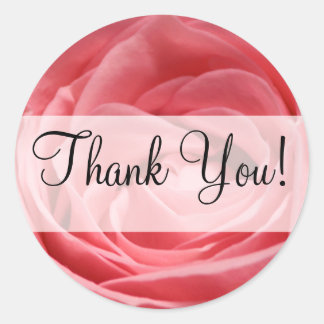 Pegatina Redonda Rosa de té rosado con pancarta "Gracias!"