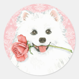 Pegatina Redonda Rosa de Valentine americano Eskimo Dog