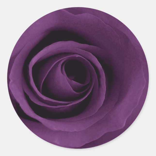 Pegatina Redonda Rosa morado (Anverso)