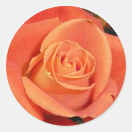 Pegatina Redonda Rosa Naranja