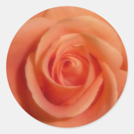 Pegatina Redonda Rosa naranja
