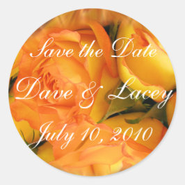 Pegatina Redonda Rosa Pegatina-personalizar para su uso