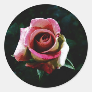 Pegatina Redonda Rosa Pintada al Óleo