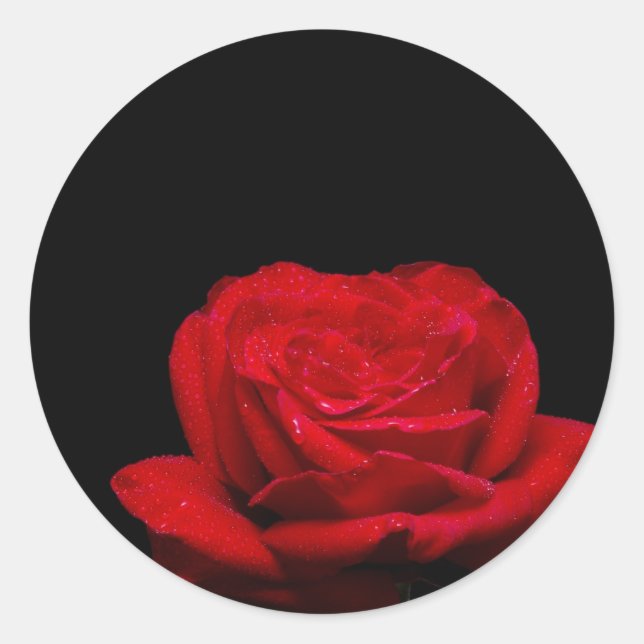 Pegatina Redonda Rosa Roja (Anverso)