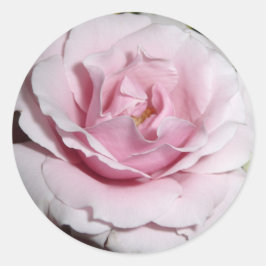 Pegatina Redonda Rosa rosa