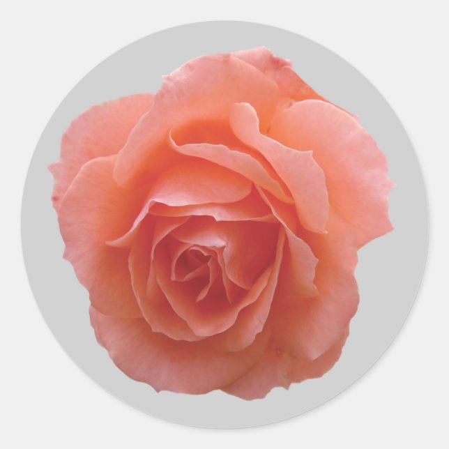 Pegatina Redonda Rosa rosa para ti (Anverso)