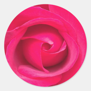 Pegatina Redonda Rosa Rosa Roja Romántica
