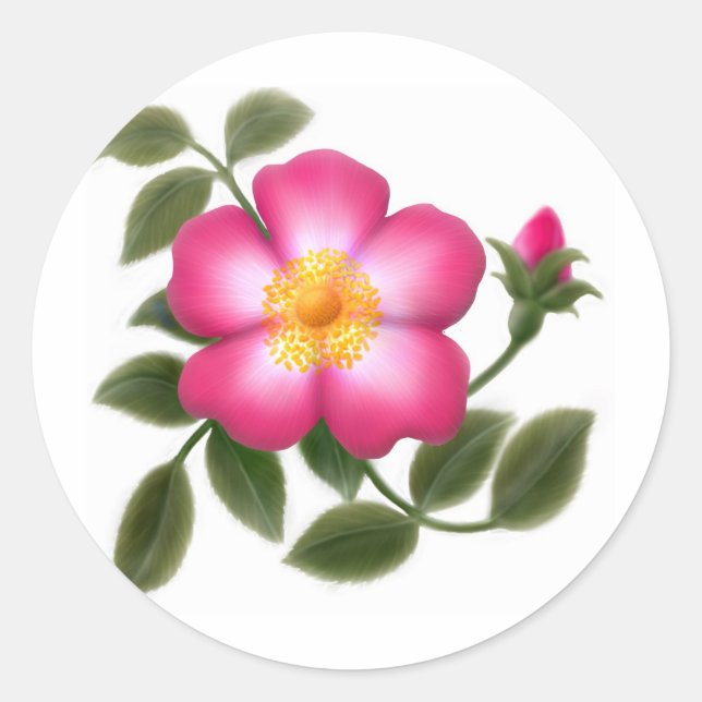 Pegatina Redonda Rosa silvestre romántico (Anverso)