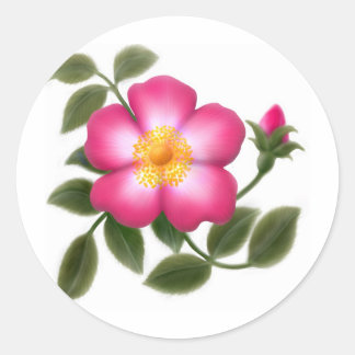 Pegatina Redonda Rosa silvestre romántico