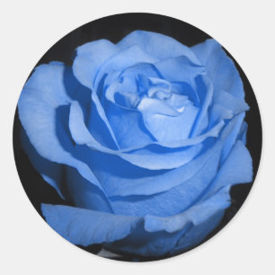 Pegatina Redonda Rosa único azul