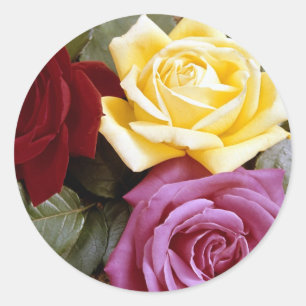 Pegatina Redonda Rosas 289B