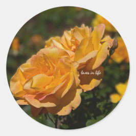 Pegatina Redonda Rosas Amarillas