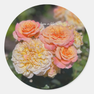 Pegatina Redonda Rosas amarillas y rosadas bonitas