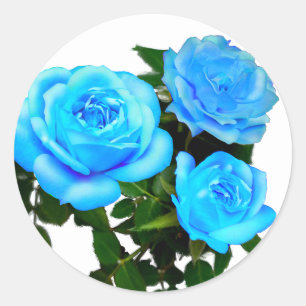 Pegatina Redonda Rosas azules turquesa elegantes flores azules flor