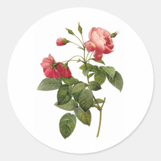 Pegatina Redonda Rosas bonitos