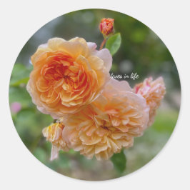 Pegatina Redonda Rosas de melocotón también