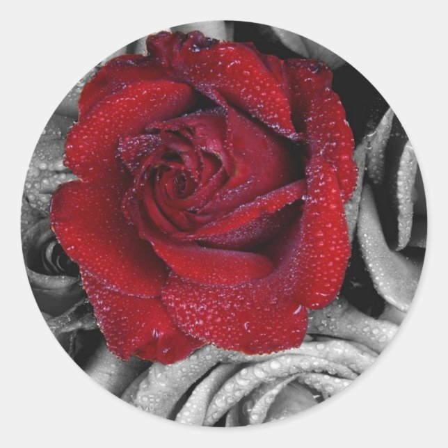 Pegatina Redonda Rosas glamorosos (Anverso)