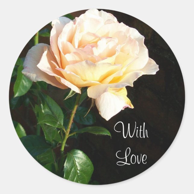 Pegatina Redonda rosas Pegatinas de 'Dreaming Spires' (Anverso)