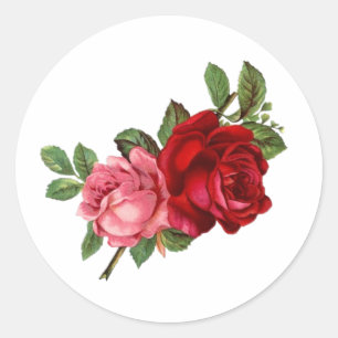 Pegatina Redonda Rosas rojas rosadas elegantes vintage