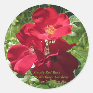 Pegatina Redonda Rosas rojas simples