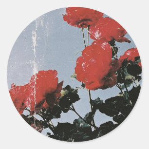 Pegatina Redonda Rosas Rojas Vintage Contra un Cielo Azul