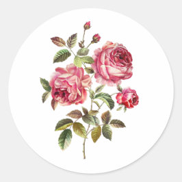 Pegatina Redonda Rosas rosadas dulces sobre fondo blanco
