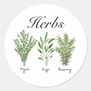 Pegatina Redonda Rosemary Thyme Sage Herbs Cocina Culinaria Chef