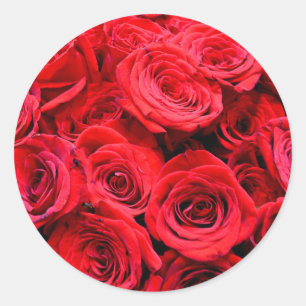 Pegatina Redonda Roses rojos