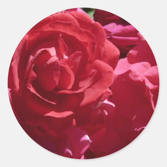 Pegatina Redonda Roses rojos (Anverso)