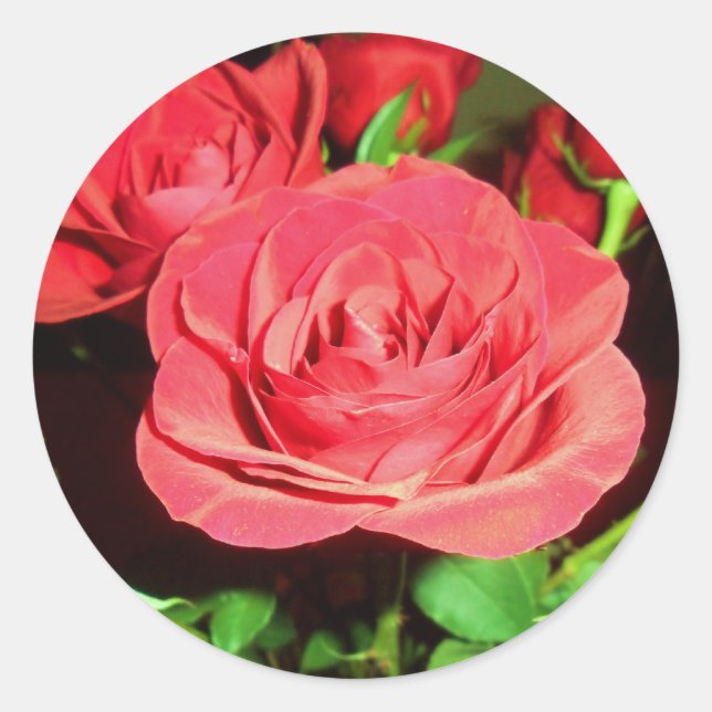 Pegatina Redonda Roses rojos (Anverso)