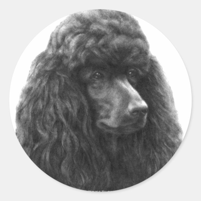 Pegatina Redonda Rosie, poodle estándar (Anverso)