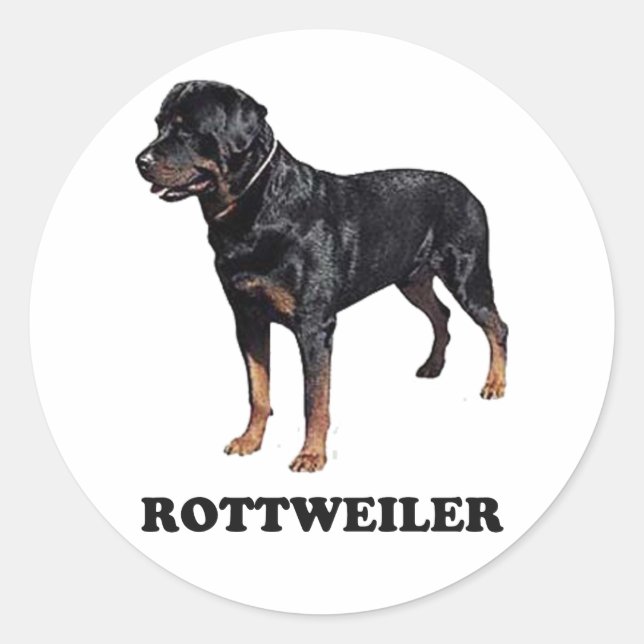 Pegatina Redonda Rottweiler (Anverso)