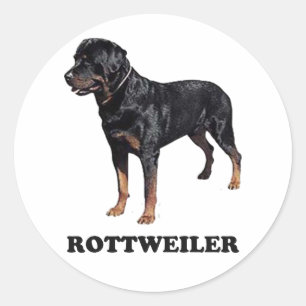 Pegatina Redonda Rottweiler