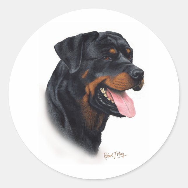 Pegatina Redonda Rottweiler (Anverso)